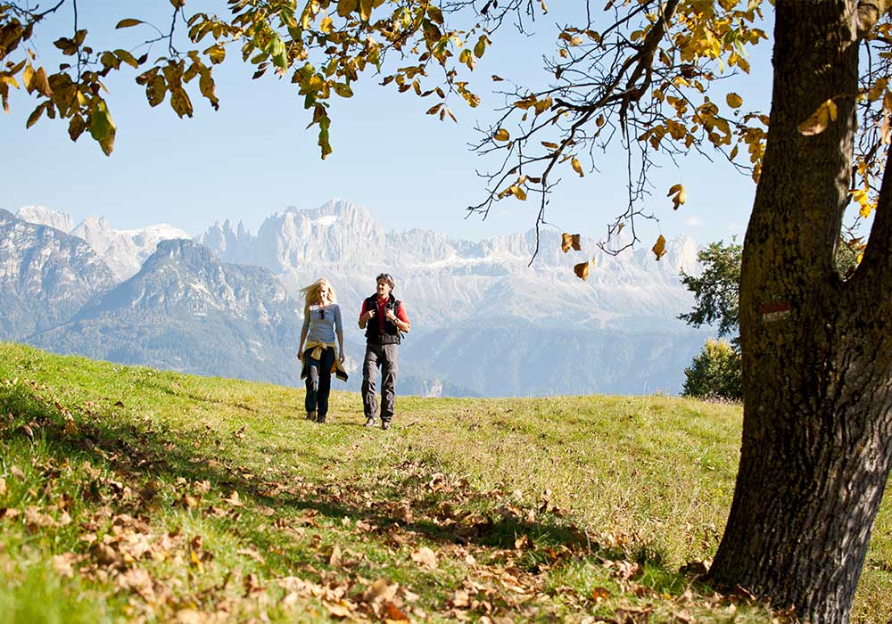 Pensione Nova Levante Catinaccio Dolomiti